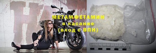 гидра Каменногорск