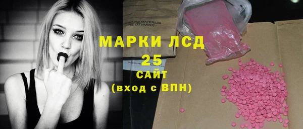 гидра Каменногорск