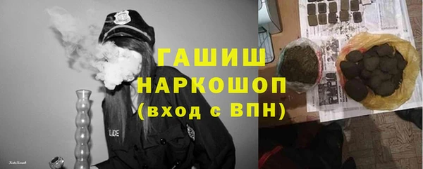 гидра Каменногорск
