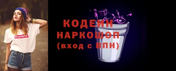 гидра Каменногорск
