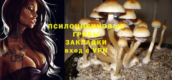 гидра Каменногорск
