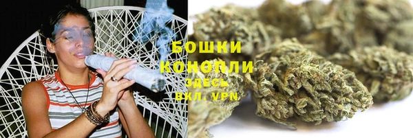 индика Иннополис