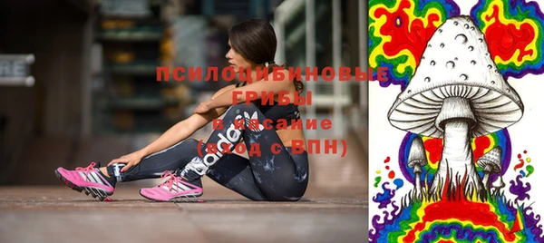 гидра Каменногорск